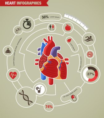 Human Heart health, disease and attack infographic clipart