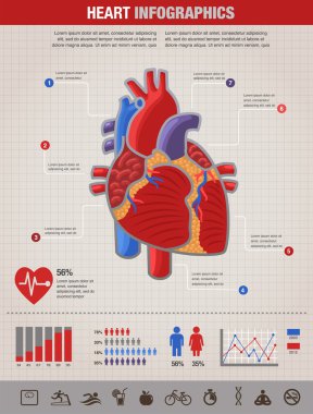 Human Heart health, disease and attack infographic clipart