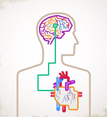 Infographic bağlı beyin ve kalp
