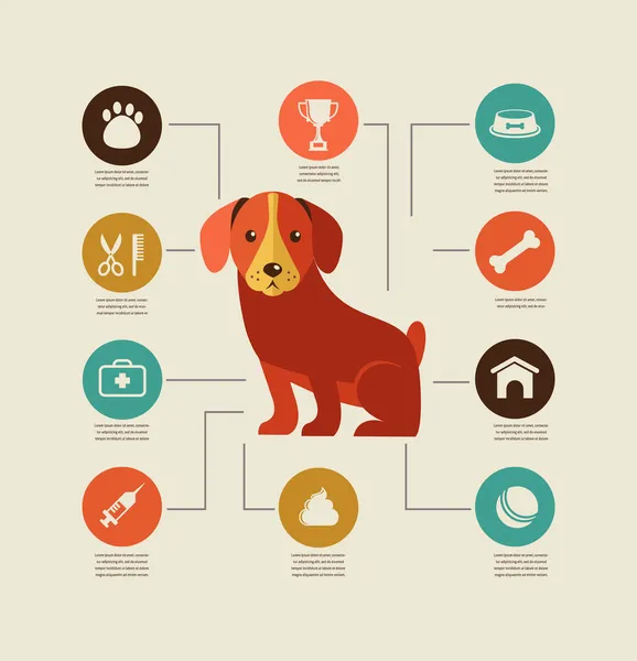 Infográfico de cães e conjunto de ícones —  Vetores de Stock