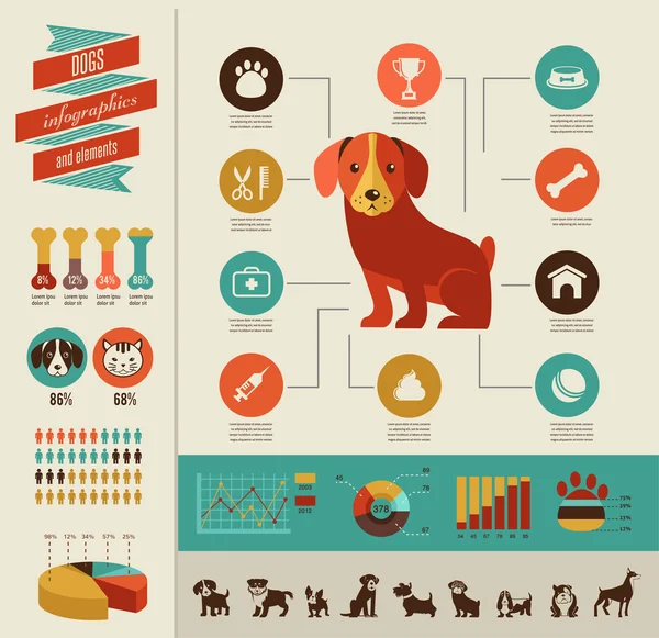 Dogs infographic and icon set