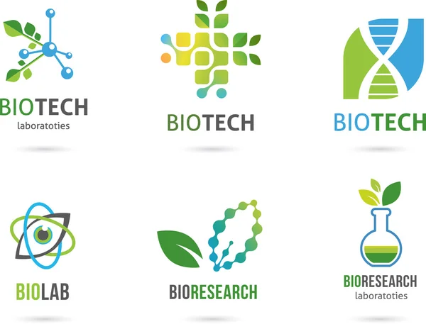 Icônes naturelles de médecine alternative à base de plantes — Image vectorielle