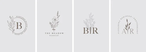 Elegante, coleção logotipo botanique, ilustrações desenhadas à mão de flores, folhas e galho, design de monograma delicado e mínimo —  Vetores de Stock