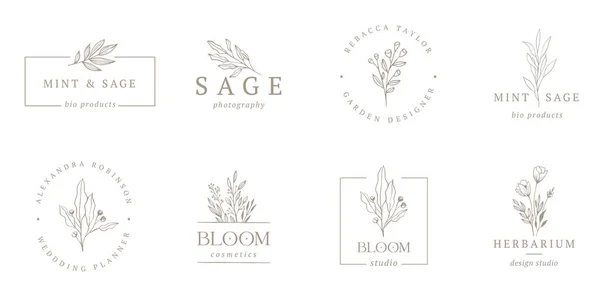 エレガントでボタニックなロゴコレクション、花、葉や小枝の手描きイラスト、繊細でミニマルなモノグラムデザイン — ストックベクタ