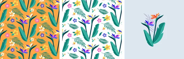 Feminine Modekonzept Illustration Nahtlose Muster Und Blumenstrauß Exotischer Paradiesvögel Blumen — Stockvektor