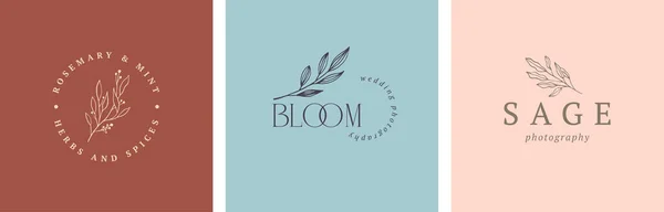 Collection Logos Botaniques Minimalistes Féminins Avec Éléments Plantes Biologiques Illustration — Image vectorielle