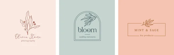 Collezione Loghi Botanici Minimalistici Femminili Con Elementi Vegetali Biologici Illustrazione — Vettoriale Stock