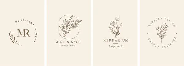 Collection Logos Botaniques Minimalistes Féminins Avec Éléments Plantes Biologiques Illustration — Image vectorielle