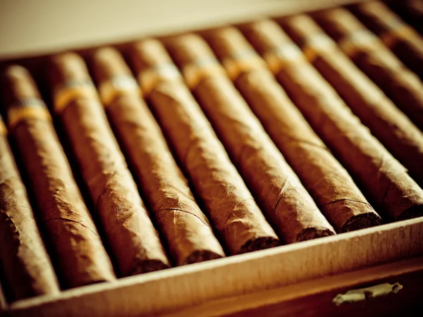 Cigarros — Foto de Stock
