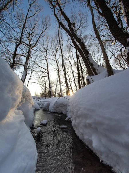 Winterlandschaft Auf Dem Land Einem Kalten Sonnigen Tag — Stockfoto