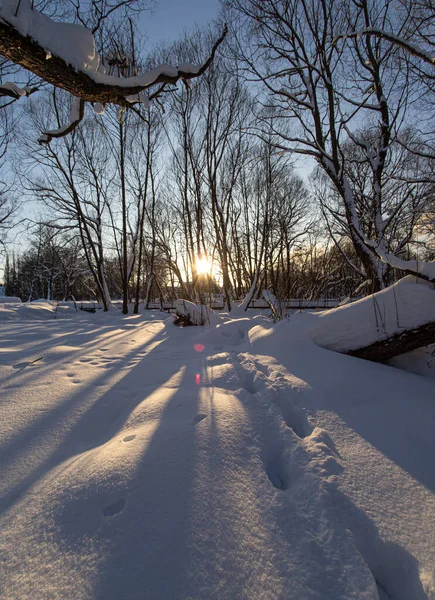 Paisagem Inverno País Dia Ensolarado Frio — Fotografia de Stock