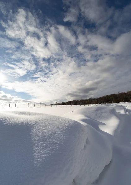 Paisagem Inverno País Dia Ensolarado Frio — Fotografia de Stock