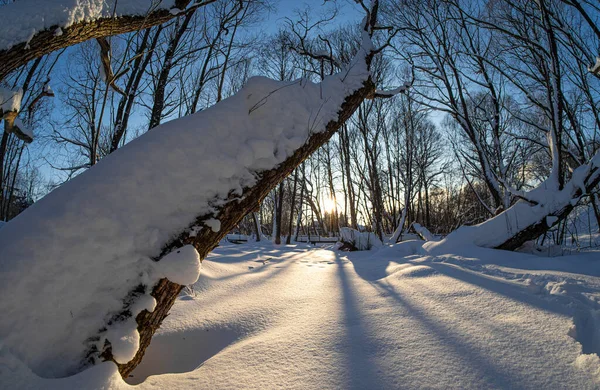 Winterlandschap Het Platteland Een Koude Zonnige Dag — Stockfoto