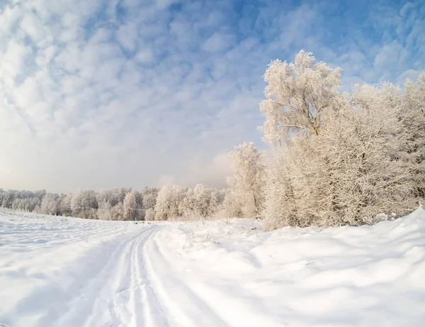 Paisagem Inverno País Dia Ensolarado — Fotografia de Stock