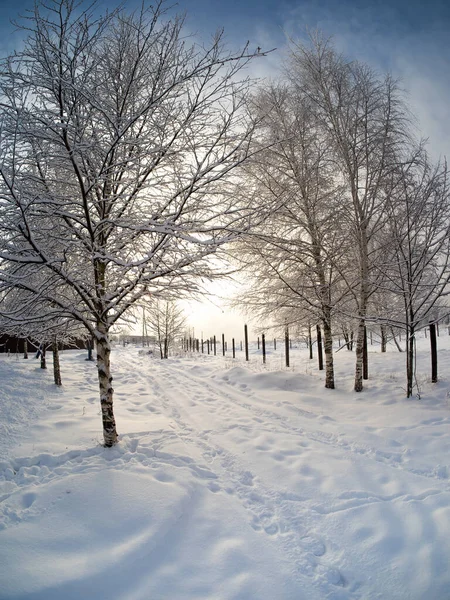 Зимний Пейзаж Стране Солнечный День — стоковое фото