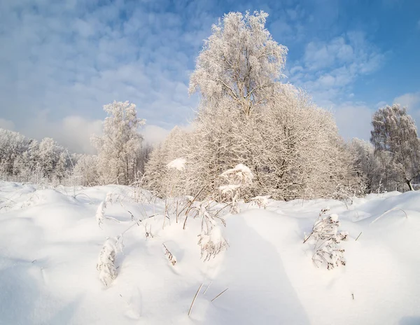 Winterlandschap Het Platteland Een Zonnige Dag — Stockfoto