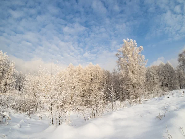 Winterlandschap Het Platteland Een Zonnige Dag — Stockfoto