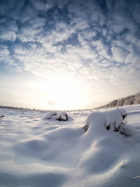 Vinterlandskap Landet Solig Dag — Stockfoto