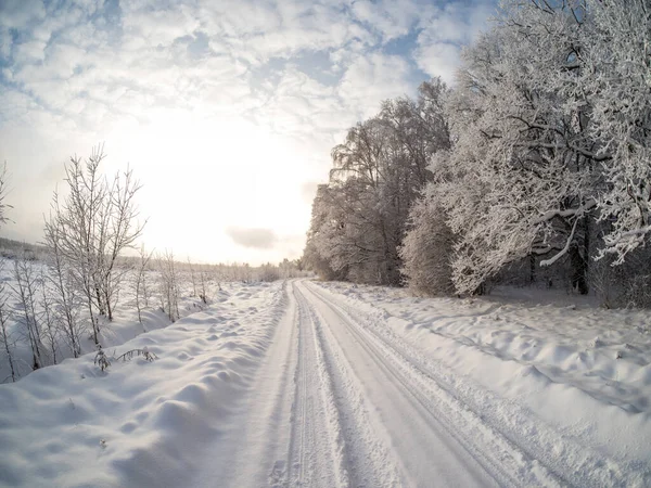 Güneşli Bir Günde Kırsalda Kış Manzarası — Stok fotoğraf