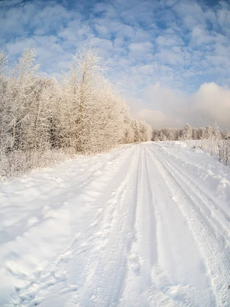 Winterlandschaft Auf Dem Land Einem Sonnigen Tag — Stockfoto