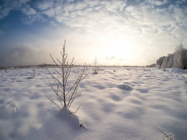 Paesaggio Invernale Campagna Una Giornata Sole — Foto Stock