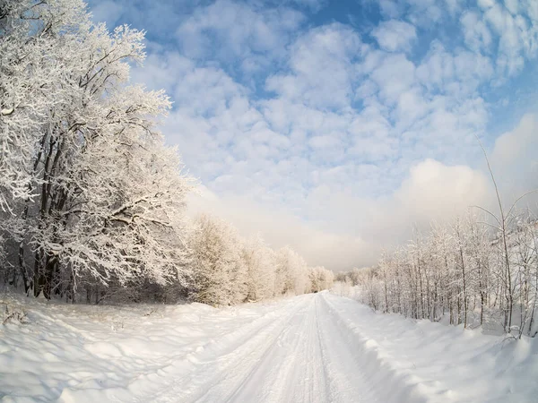 Paisagem Inverno País Dia Ensolarado — Fotografia de Stock