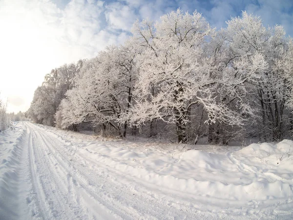 Winterlandschaft Auf Dem Land Einem Sonnigen Tag — Stockfoto