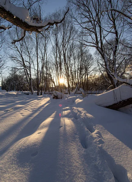 Zimní Krajina Zemi Chladného Slunečného Dne Stock Obrázky