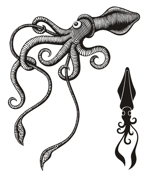 Monster squid — Stock Vector