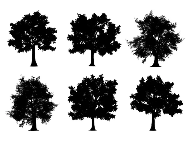 Siluetas de árbol — Vector de stock