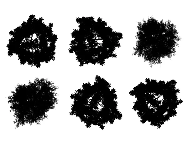 Silhouettes de dessus d'arbre — Image vectorielle