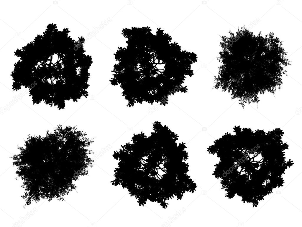 Tree top silhouettes Stock Vector by 3dvlaa 50321327