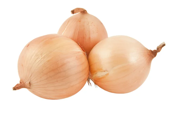 Onion isolated on white background — Stock Photo, Image