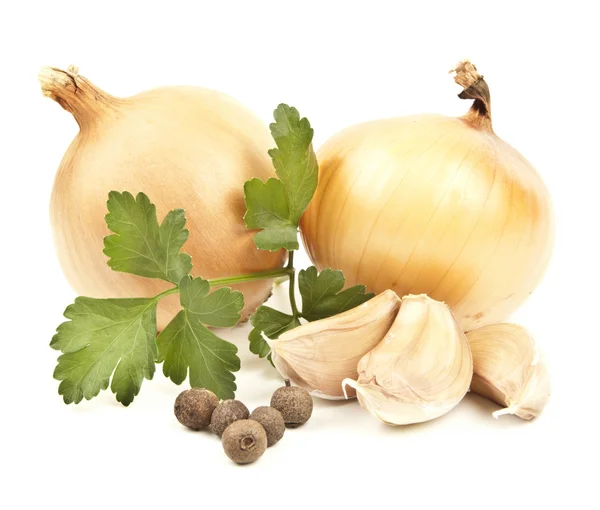 Onion and garlic clove isolated on white background — Stock Photo, Image