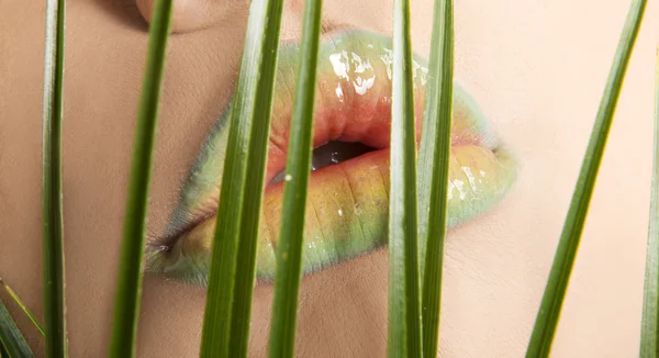 Kadının dudakları — Stok fotoğraf