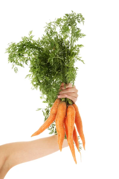 Young woman holding fresh carrots — Stock Photo, Image