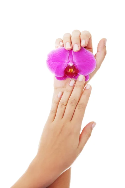 Close up shoot of beautiful female hands — Stock Photo, Image