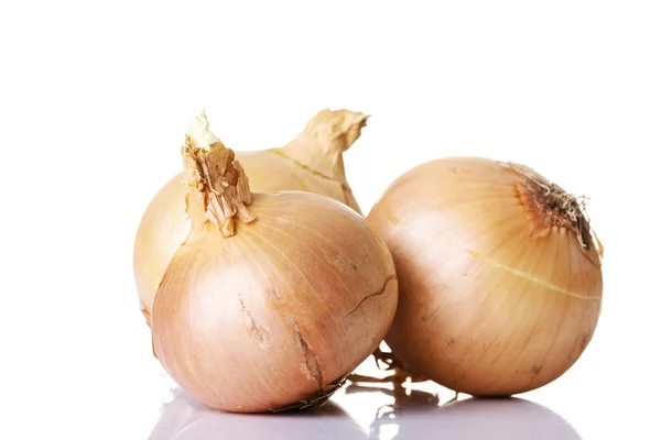 Ripe onion — Stock Photo, Image