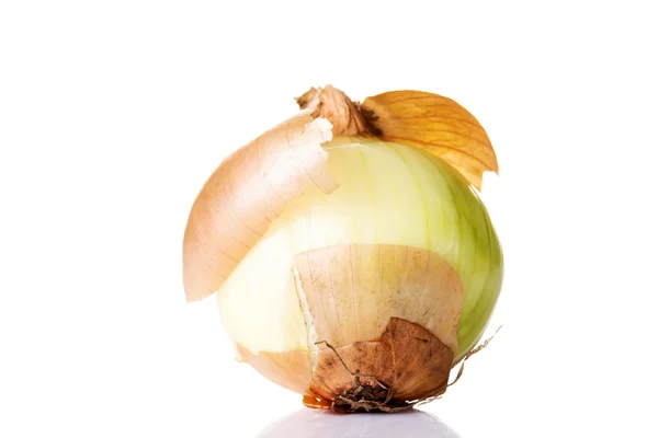 Ripe onion — Stock Photo, Image