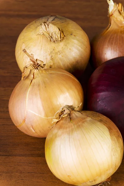 Onion — Stock Photo, Image