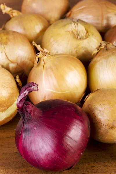 Cebola — Fotografia de Stock