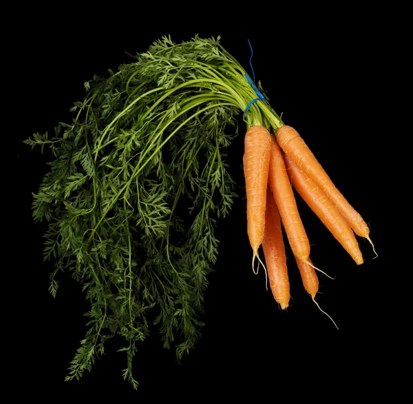 Ramo de zanahorias — Foto de Stock