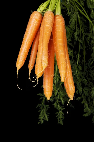 Bunch of carrots — Stock Photo, Image