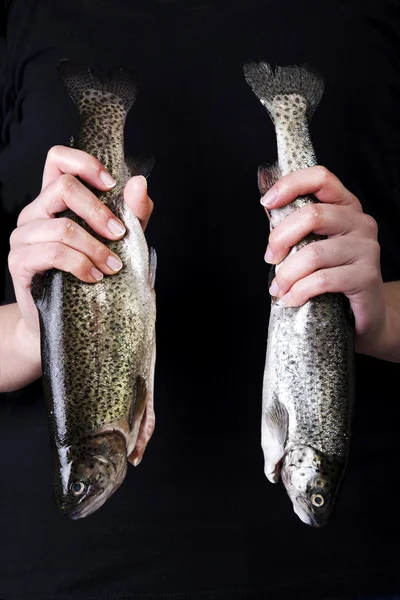 Trouts — Stock fotografie