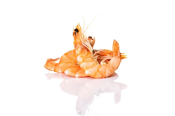 Shrimps — Stock Photo, Image