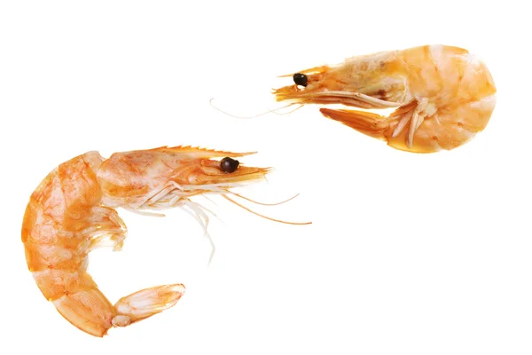 Shrimps — Stock Photo, Image