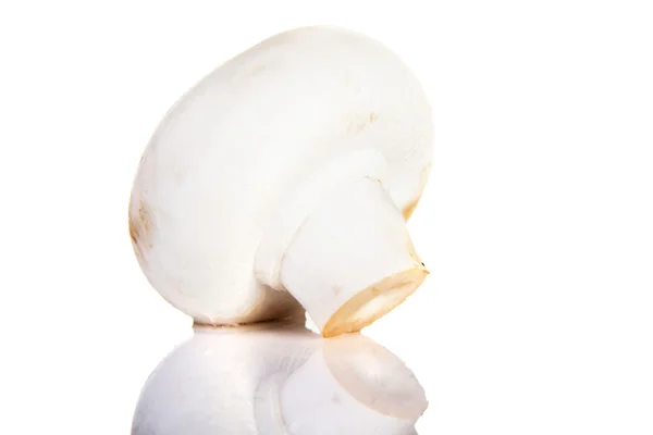 Edible button mushroom, champignon — Stock Photo, Image