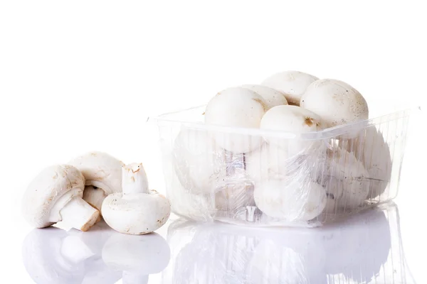 Yenilebilir düğme mantar, champignon — Stok fotoğraf