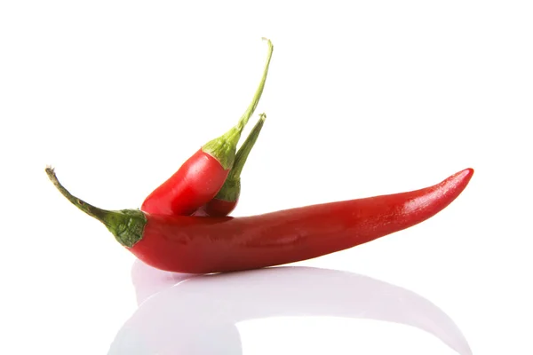 Röd het chilie peppar — Stockfoto