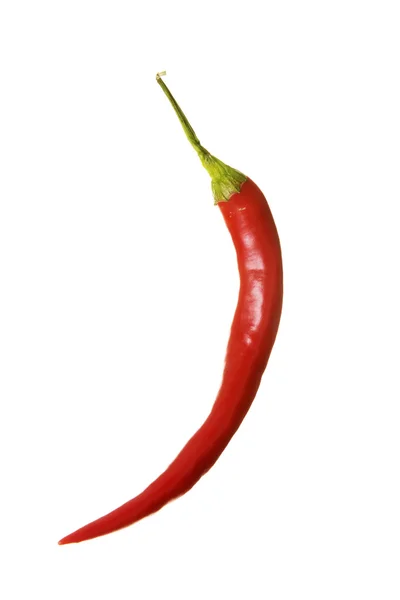 Pimenta-pimenta quente vermelha — Fotografia de Stock